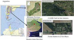 Son dos hombres, uno con domicilio en la localidad y otro de neuquén. Study Sites Manuel Belgrano Field Campo Anexo Manuel Belgrano Camb Download Scientific Diagram