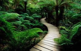 Resultado de imagen de caminos de naturaleza