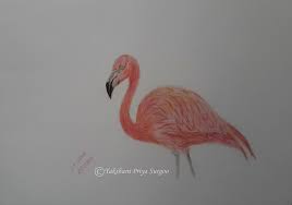 See more ideas about flamingo, flamingo art, how to draw flamingo. Gallery Yakshani Priya Surgoo