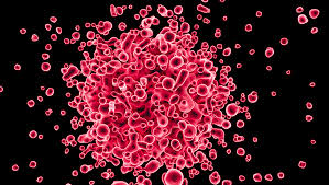 A transmissão da Covid-19