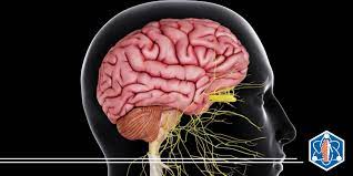 1,753 likes · 3 talking about this. Gammagrafia Muerte Cerebral Medicina Nuclear Quito Gammagafia Quito Tratamiento Con Yodo Radioactivo Quito