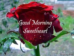 Love Greetings Creative Arts Emotional Greetings Awesome Good Morning Wallpaper Good Morning Morning Sweetheart Good Morning For Her Good Morning Picture
