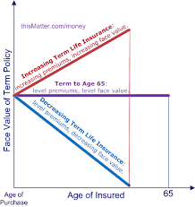 Level Term Insurance Success Financial Freedom