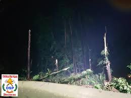 Jedna osoba została ranna, a wiatr uszkodził 120 budynków. Traba Powietrzna W Zlociencu Wichura Zrywala Dachy I Powalala Drzewa Pomoc Dla Poszkodowanych