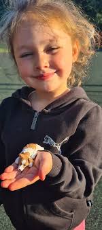 3d printed items for 4h kids