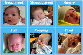 Caring For Your Newborn Transition To Parenthood