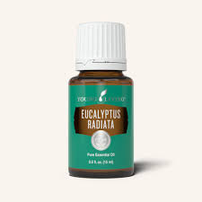 Essential oils, diffusers, carrier oils Eucalyptus Radiata Essential Oil Young Living Essential Oils