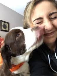 Cassie 🏴󠁧󠁢󠁳󠁣󠁴󠁿