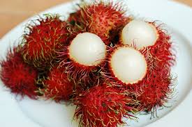 Tiga bulan pertama kehamilan merupakan fase terpenting bagi pertumbuhan dan perkembangan janin di dalam kandungan. Bolehkah Ibu Hamil Makan Buah Rambutan Bidanku Com