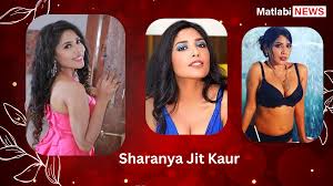 Top 10 Sharanya Jit Kaur Hot Web Series - Matlabi News