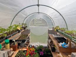 You can create this mini seed starting greenhouse easily in no time. Diy Greenhouse A Step By Step Guide