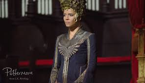 Actor eddie redmayne was asked to play the role of newt scamander without ever having to audition and helped with the rest of the casting process. Fantastic Beasts And Where To Find Them Film Harry Potter Wiki Fandom