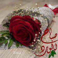 Посмотрите твиты по теме «#صباحي_انتي» в твиттере. ØµÙˆØ± ÙˆØ±Ø¯ ØµØ¨Ø§Ø­ Ø§Ù„Ø®ÙŠØ± Ù€ Ø§Ø¬Ù…Ù„ Ø¨Ø§Ù‚Ø© ÙˆØ±Ø¯ ØµØ¨Ø§Ø­ Ø§Ù„Ø®ÙŠØ± ØµØ¨Ø§Ø­ Ø§Ù„ÙˆØ±Ø¯ ÙˆÙˆØ±Ø¯Ø²