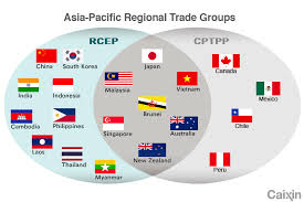 The cptpp parties are australia, brunei darussalam, canada, chile, japan, malaysia, mexico, new zealand, peru, singapore, and vietnam. Opinion Why Joining Cptpp Trade Pact Could Be China S Plan B If Rcep Further Stalls Caixin Global