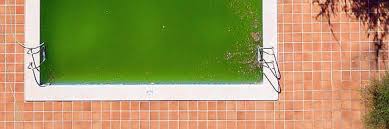 Danach habe ich mir gedanken gemacht, was da eigentlich los war und wie ich in zukunft damit umgehen werde. Poolwasser Grun So Wird S Wasser Wieder Klar Aussenpool De