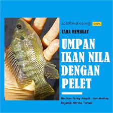Check spelling or type a new query. Cara Membuat Umpan Ikan Nila Dengan Pelet Dijamin Mantap Ikan Hewan Umpan Pancing