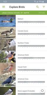 Are you looking for a professional bird identifier app? The Best Bird Identification Apps For Ios And Android Digital Trends