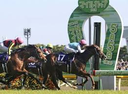 【2019年5月5日 第24回 nhkマイルカップ g1】 nhk交響楽団とその仲間たちによる圧巻のファンファーレ! Nhkãƒžã‚¤ãƒ«ã‚«ãƒƒãƒ—2019 ã—ã‚‡ã†ãŒæ¹¯ãƒ­ã‚°