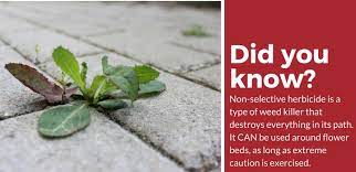 Search for weed killer in mulch beds. Top 4 Best Weed Killers For Flower Beds 2021 Review Pest Strategies