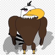 The next episodes are able to be watched on weekends. Evolution Of Birds Png Download 1600 1600 Free Transparent Mustang Png Download Cleanpng Kisspng