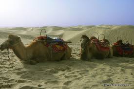 In this video i show you what kind of apartment you can rent in spain for a cheap price. How To Ride A Camel In Xinjiang And Where It S Worth Doing So