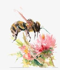 As you can see above there are 3 bees buzzing around it and. Flower Drawing Png Png Images Png Cliparts Free Download On Seekpng