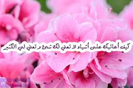صور عتاب كلام عتاب ولوم مكتوبة علي صور معبرة flowers rose plants