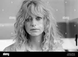 Goldie hawn private benjamin hi-res stock photography and images