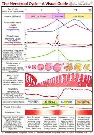 menstrual chart a visual guide a4 menstrual cycle phases