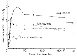 Maybe you would like to learn more about one of these? The Molecular Biology Of Plant Cells
