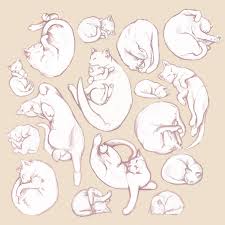 Sleeping Cats Sketches By Syllie On Deviantart Cat Sketch Sleeping Drawing Cat Anatomy Check out our cat laying down selection for the very best in unique or custom, handmade pieces from our shops. cat sketch sleeping drawing cat anatomy