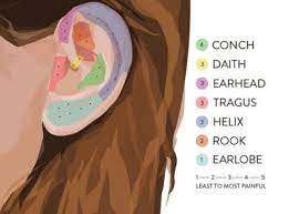 Pin On Ear Piercings