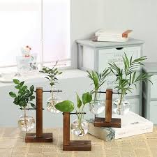 terrarium glass luxsear decors greenhouse gardening glass tree グリーン インテリア 庭のアイデア diy アイデア