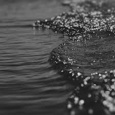 However, white pepper lacks certain compounds present in the outer layer of the drupe, resulting in a different overall flavour. Black Sea Wallpapers Wallpaper Cave