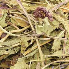 I want to put uncle a, major tom and old bill onto echinacea to support their immune systems. Echinacea Flowers Stems Leaves Just4rabbits