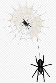 Cartoon picture of black widow spider. Spiders Cartoon Png Download 800 1334 Free Transparent Widow Spiders Png Download Cleanpng Kisspng