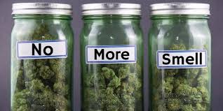 Push the can on two sides near the hunting for a rare congolese weed strain with the kings of cannabis. The Best Ways To Store Weed Without Smell Thc Overdose