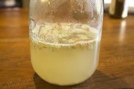 Comment Faire Un Ginger Bug Levain De Gingembre Pour Fermenter Jus De Fruits Ou De Legumes Ni Cru Ni C Aliments Fermentes Jus De Fruit Biere De Gingembre