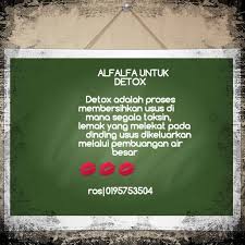 Jamu tradisional untuk mengharumkan vagina). Alfalfa Jamu Moden Untuk Wanita Kalau Rasa Tak Sanggup Nak Minum Jamu Yang Baunya Kurang Menyenangkan Tu Elok Sangatlah Try Alfalfa Agen Detox Terb Shaklee