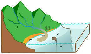 Sediment is a naturally occurring material that is broken down by processes of weathering and erosion, and is subsequently transported by the action of wind, water, or ice or by the force of gravity acting on the particles. Water Free Full Text Why And How Do We Study Sediment Transport Focus On Coastal Zones And Ongoing Methods