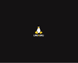 Image result for linux penguin wallpaper