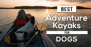 It has two seats for human kayakers; The 6 Best Kayaks For Dogs In 2021 Pet Dog Friends