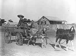 1890 Wagon Pulled By 2 Goats Pull Cart George Historical Figures