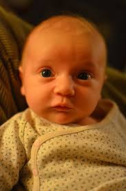 Babies — Birch Moon Midwifery & Lactation Care