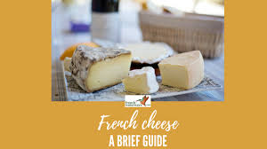 Dictionary Of The Best French Cheese Best Cheeses In France French Waterways Find images of french cheese. dictionary of the best french cheese