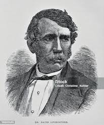 Генерал Фредерик Таунсенд Уорд Командующий Вечно Победоносной Армией —  стоковая векторная графика и другие изображения на тему 1860-1869