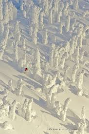 Chuck Haney Photography Opening Skiing Ski Inspiration Snow Skiing