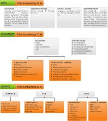 80 actual career options after 12th science chart