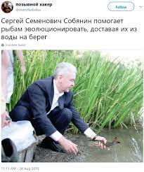 Jun 12, 2021 · москва, 12 июня/ радио sputnik. V Tvittere Parodiruyut Predvybornyj Piar Mera Sergeya Sobyanina