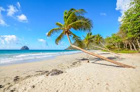Bekannte inseln wie kuba, jamaika, die dominikanische republik und cayman island laden zu einem erholsamen urlaub ein. Martinique Tipps Alle Infos Rund Um Euren Martinique Urlaub